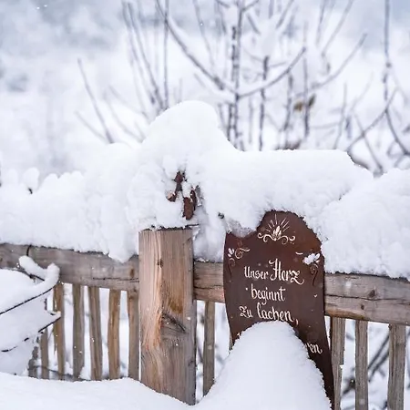 Boutique Martha 3* ツェル アム ゼー