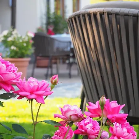 Boutique Martha ホテル 3*